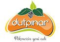 Dutpınar